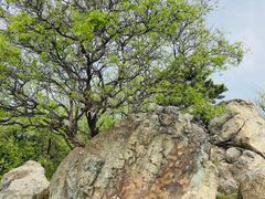-香山公园
