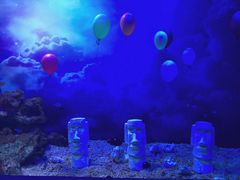 -芜湖新华联大白鲸海洋公园