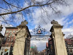 -普林斯顿大学