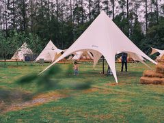 -前小桔亲子创意农场·草莓采摘·露营烧烤