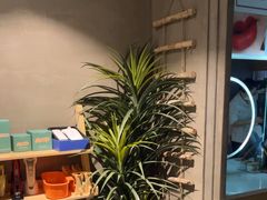 -施奈儿.洗头頭療.按摩SPA.采耳(上梅林店)