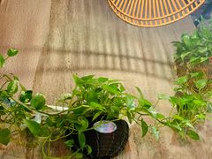 -炉小二铜锅牛蛙•川湘菜(三里屯店)