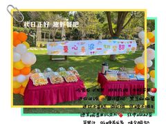 -上海松江区迪笙幼儿园
