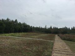 -同里国家湿地公园