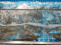 -曼格活海鲜·牛排自助(光明蓝鲸店)
