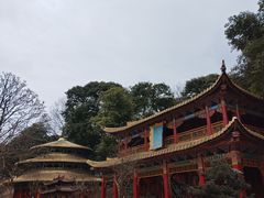 -都江堰玫瑰花溪谷