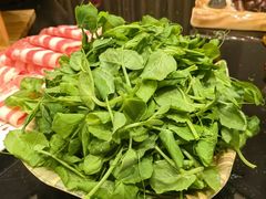 -东颖龙肥牛王(绵阳店)