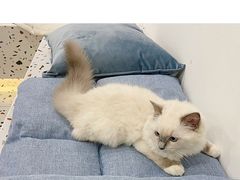 -FULL MOON满月咖啡