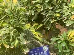 -国家植物园南园