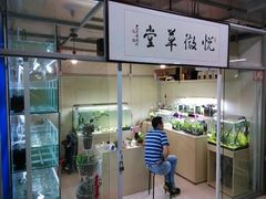 悦微草堂-无锡文化工艺品市场(槐古路店)