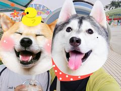 -汕头蓝水星欢乐世界