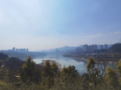 -金海湾滨江公园