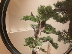-觅唐MITONG(鸟巢店)