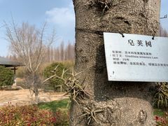 -黄海国家森林公园