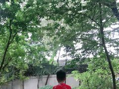 -汉仪华裳汉服旗袍·摄影写真馆(乌镇西栅店)