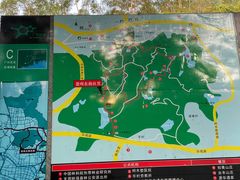 -火炉山森林公园