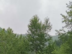 -驼梁风景区