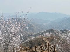 -大岭沟猕猴桃谷风景区