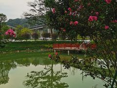 -黄埔油麻山森林公园