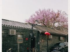 -北京大学第一医院(西城厂桥院区)