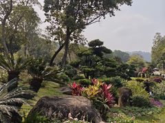 -东莞植物园