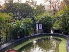 -融汇温泉