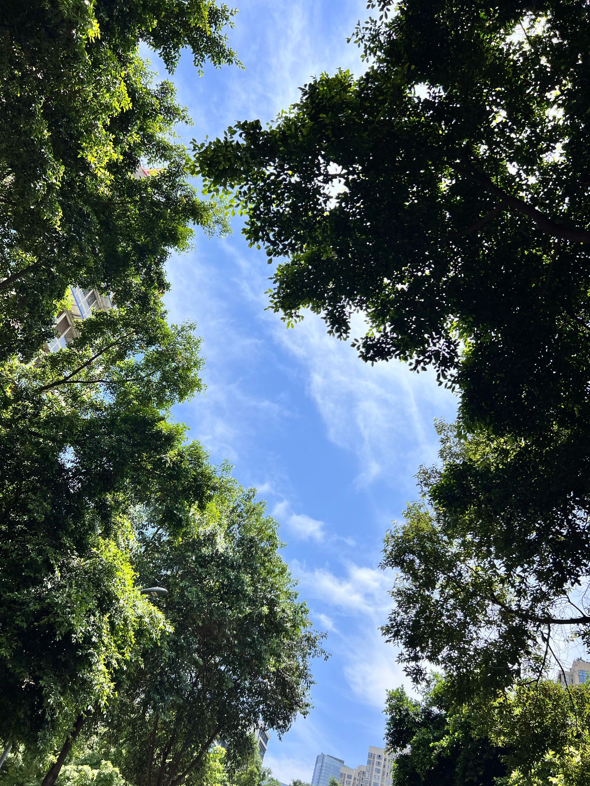 看一下你的城市手机里的天空