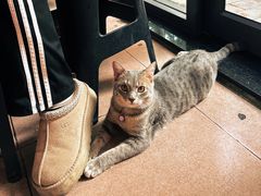 -潮双生·双生肠粉(牌坊街总店)