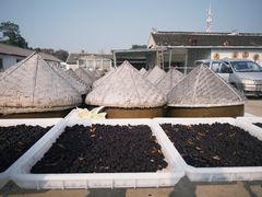 -苏州市吴中区光福窑上花果蜜饯厂