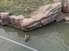 -无锡动物园·太湖欢乐园