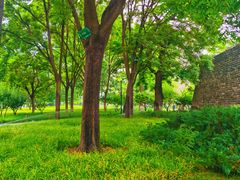 -北京明城墙遗址公园