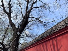 -荣国府