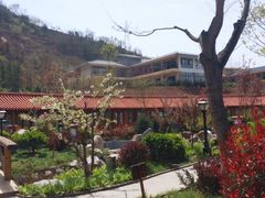 -麦积山温泉