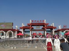 -曹州牡丹园