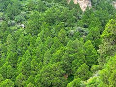 -妙峰山风景名胜区