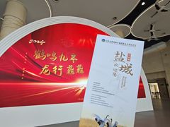 -盐城丹顶鹤湿地生态旅游区