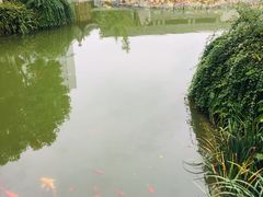 -龙潭水乡