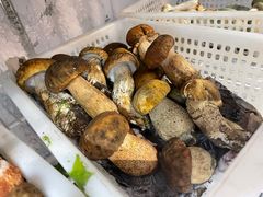 -菌之家·专业纯野生菌火锅·特色炒菌