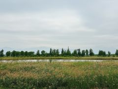 -野鸭湖国家湿地公园