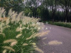 -永定河休闲森林公园