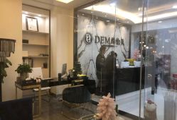 -DEM缔怡美科技美容