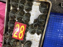 -湛江渔港·大排档(乐园路总店)