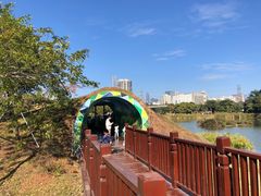 -福田红树林生态公园