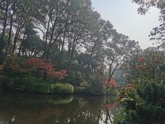 -南山植物园