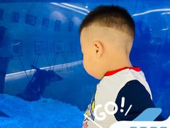 -石家庄海洋公园