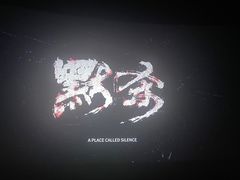 -华谊兄弟影院(IMAX洋桥店)