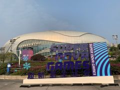 -宝能国际体育演艺中心