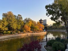 -迎泽公园
