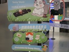 -Sony Store索尼(广州正佳店)