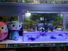 -TOYSRUS玩具反斗城(凯德广场云尚店)